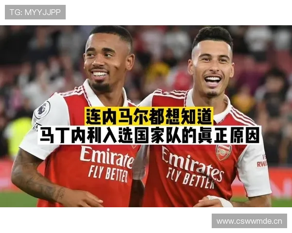 马丁内利：从新星到主力竞争者的成长路径与挑战解析