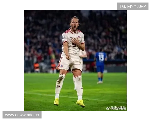 哈里·凯恩家冰箱贴都是英超奖牌